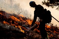 Firefighter conducts a fire drip to contain the Pioneer Fire in Boise National Forest, Idaho, 2016. Original public domain image from Flickr