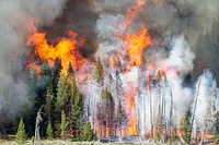 Lava Mountain Fire, Shoshone National Forest, Wyoming, July 2016, Martin IMT. (Forest Service photo by Kristen Honig). Original public domain image from Flickr