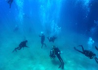U.S. Sailors assigned to Explosive Ordnance Disposal Mobile Unit 11 conduct dive equipment familiarization and training operations in the Red Sea March 22, 2010.