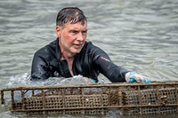 Auburn University School of Fisheries Associate Professor Dr. William “Bill” Walton prepares to flip one of the floating cages so the oysters can air dry and kill all the barnacles and fowling on their oysters near Dauphin Island, Alabama.