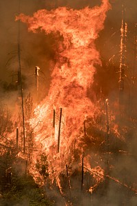 Taylor Creek and Klondike Fires, Rogue-Siskiyou NF, OR, 2018 (photo by Kari Greer). Original public domain image from Flickr