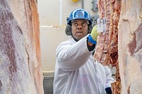 U.S. Department of Agriculture (USDA) meat inspectors and graders perform their mission.USDA photo by Preston Keres. Original public domain image from Flickr