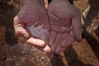 Marines purify water in Africa.