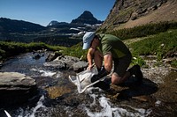 Researching aquatic insects in the alpine. Original public domain image from Flickr