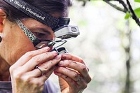 Sue Cameron examining a spider though a hand lens. Original public domain image from Flickr