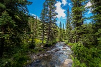 A stream flows through the Tobacco Root Mountain Range, Butte Ranger District of Beaverhead-Deerlodge National Forest Montana, September 12, 2019.USDA Photo by Preston Keres. Original public domain image from Flickr