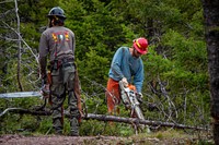 U.S. Forest Service Pintler Ranger District Initial Attack Crewmembers clear smaller timber near the road to improve line of sight in Beaverhead-Deerlodge National Forest Montana, September 18, 2019.<br/><br/>USDA Photo by Preston Keres. Original public domain image from <a href="https://www.flickr.com/photos/usdagov/48762639366/" target="_blank" rel="noopener noreferrer nofollow">Flickr</a>
