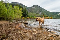 Locals ride their horses at Browns Lake at Wisdom Ranger District of Beaverhead-Deerlodge National Forest Montana, September 15, 2019.USDA Photo by Preston Keres. Original public domain image from Flickr