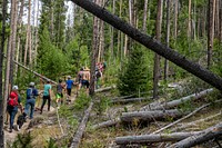 The Highland Cycling Club volunteers make their way to help clear out the trails in Thompson Park in the Butte Ranger District of Beaverhead-Deerlodge National Forest Montana, September 15, 2019.USDA Photo by Preston Keres. Original public domain image from Flickr