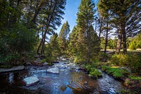 A stream flows through the Whitetall Mountains in the Butte Ranger District of Beaverhead-Deerlodge National Forest Montana, September 13, 2019.USDA Photo by Preston Keres. Original public domain image from Flickr