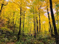 Hikers enjoying the fall colors and recreation opportunities in the Adirondacks of northeastern New York, on October 12, 2019. Courtesy photo by Emily de Vinck. Original public domain image from Flickr