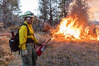 Blacklining the Trout Springs Rx Fire. A firefighter pauses after lighting a slash pile. (DOI/Neal Herbert). Original public domain image from Flickr