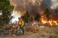 Trout Springs Rx Fire. Firefighters using drip torches to ignite slash piles. (DOI/Neal Herbert). Original public domain image from Flickr