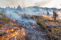 BLM Idaho Prescribed FireFirefighters using drip torches to light vegetation along a control line on the Bureau of Land Management's Trout Springs Prescribed Fire in southwest Idaho. (DOI/Neal Herbert). Original public domain image from Flickr