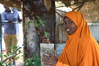 Amina Ali - 22 years old, Somali National University agriculture student, 2nd year "There are many ways to help my country move forward. My way is through studying agriculture and use my skills to modernize the sector". Original public domain image from Flickr