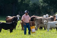 U.S. Department of Agriculture (USDA) Natural Resources Conservation Service (NRCS) District Conservationist for Arkansas Derrek Nokes, and State Grazing Lands Specialists such as Jeremy Huff assisted Kenny and Annette Sites with a conservation plan that includes prescribed grazing (528); and the forage and biomass planting (524) of the pastures, in Sheridan, AR, on June 27, 2019.