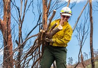 US firefighters in AustraliaUS firefighters clearing brush along a road in Victoria, Australia. (DOI/Neal Herbert). Original public domain image from Flickr