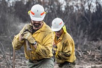 US firefighters in AustraliaSetting up hose lays on the Peat Fire near Cape Conran Coastal Park, Victoria. (DOI/Neal Herbert). Original public domain image from Flickr