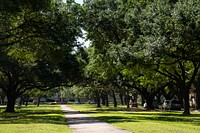 Park during spring. Original public domain image from Flickr