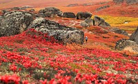 Bering Land Bridge National Preserve