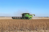 Schirmer Farms owner and operator Ernie Schirmer uses a GPS-based automatic steering system to quickly and efficiently harvest his first sesame crop at Schirmer Farms, in Batesville, TX, on November 4, 2020.