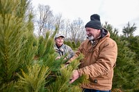 Allen Royer, who co-owns Wagoner Christmas Tree Farm in Putnam County, Indiana, shows off a tree growing on the farm Dec. 14, 2020. (Indiana NRCS photo by Brandon O'Connor). Original public domain image from Flickr