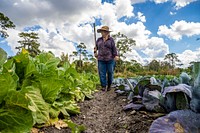 Marty Holman’s mother Peggy Garrett walked through a field on Holman’s Harvest Farm, in Loxahatchee Groves, Florida, February 25, 2021.