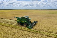 Aerial view of the rice harvest at 3S Ranch, near El Campo, Texas, on July 24, 2020.