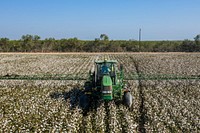 Schirmer Farms (Batesville) Operations Manager Brandon Schirmer, sprays defoliant on one of the fields at his father&#39;s multi-crop 1,014-acre farm, in Batesville, TX, on August 12, 2020.