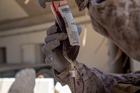 A U.S. Navy Hospital Corpsman, assigned to Special Purpose Marine Air-Ground Task Force - Crisis Response - Central Command 20.2, inspects a unit of blood during tactical Emergency Fresh Whole Blood Transfusion training in Kuwait, Aug. 18, 2020.