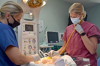 JACKSONVILLE, Fla. (Aug. 10, 2020) – Lt. Cmdr. Amy Aparicio conducts neonatal resuscitation training with a simulated patient at Naval Hospital Jacksonville’s Labor & Delivery unit.