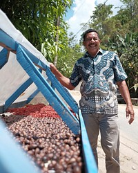 Meningkatkan kualitas panen dengan pengeringan yang tepatRapik Soelisa dari Maluku mengeringkan pala di halaman rumahnya di Negeri Lima, Maluku.Photo credit: Nyoman Prayoga, USAID APIK. Original public domain image from Flickr