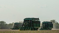 Late in the afternoon, the sun is getting low and the cotton harvesters are at work at the Ernie Schirmer Farms, in Batesville, TX, on August 22, 2020.