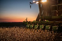 Twilight colors fill the sky, as harvesters turn on their lights and work into the evening, during the Ernie Schirmer Farms cotton harvest which has family, fellow farmers, and workers banding together for the long days of work, in Batesville, TX, on August 23, 2020.