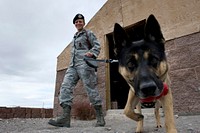 U.S. Air Force Staff Sgt. Bobbie Ohm, a military working dog handler with the 99th Security Forces Squadron, walks with Nero, a military working dog, to search for explosives during a joint explosive detection training exercise at Nellis Air Force Base, Nev., Dec. 16, 2010.