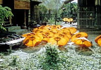 Special umbrellas lying on the grass. Original public domain image from Flickr