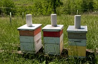 Three of the 80 bee hives of Brookview Farm in Manakin-Sabot, VA, on Thursday, May 5, 2011, that produce honey for Fall Line Farms, a local food cooperative in the Richmond, VA area that offers a wide variety of household food staples and specialty items on an ever changing inventory of fruits, vegetables, meats, soaps, eggs, cheeses, flowers, honey, pastas, sauces, syrups, baked goods, mushrooms, flour and grains.