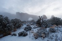 Foggy Morning, North Window. Original public domain image from Flickr