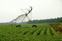 A U.S. Department of Agriculture (USDA) Natural Resources Conservation Service (NRCS) employee examines the control box of a center pivot irrigation system on a Delaware farm on July 8, 2008.