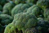 Worden Farm (www.wordenfarm.com) fresh picked organic broccoli are ready for sale at the Saturday Morning Market, in St. Petersburg, FL, on April 14, 2012.