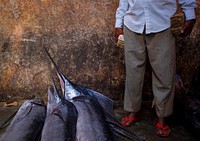 A trader waits to sell fish inside Mogadishu's fish market in the Xamar Weyne district of the Somali capital.