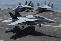 An U.S. Navy F/A-18F Super Hornet aircraft assigned to Strike Fighter Squadron (VFA) 103 lands aboard the aircraft carrier USS Dwight D. Eisenhower (CVN 69) March 18, 2013, in the Red Sea. The ship deployed to promote maritime security operations, theater security cooperation efforts and support missions in the U.S. 5th Fleet area of responsibility as part of Operation Enduring Freedom.