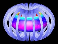 Shown is the iter plasma surface and toroidal magnetic field coils; color contours indicate local magnetic strength at Oak Ridge National Laboratory.