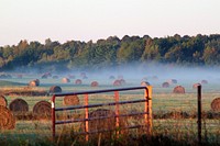 Foggy grasslands. Original public domain image from Flickr