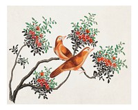 Birds of China poster (1800&ndash;1899) from the Miriam and Ira D. Wallach Division of Art, Prints and Photographs: Art & Architecture Collection. Original from the New York Public Library. Digitally enhanced by rawpixel.