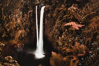 Autumn desktop wallpaper background, waterfall in Samoa, warm tone