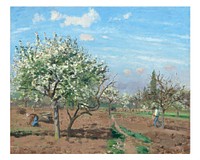 Pissarro art print, famous painting, Orchard in Bloom, Louveciennes