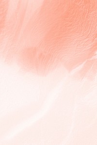 Peach petal texture background for social media banner