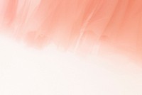 Peach chiffon fabric texture background for blog banner