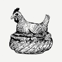 Chicken drawing, vintage animal illustration psd. Free public domain CC0 image.